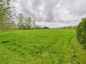 Grounds- click for photo gallery
